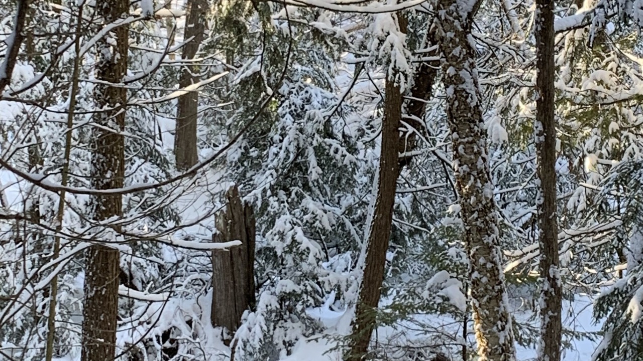 Photo of Outdoor in Oro-Medonte