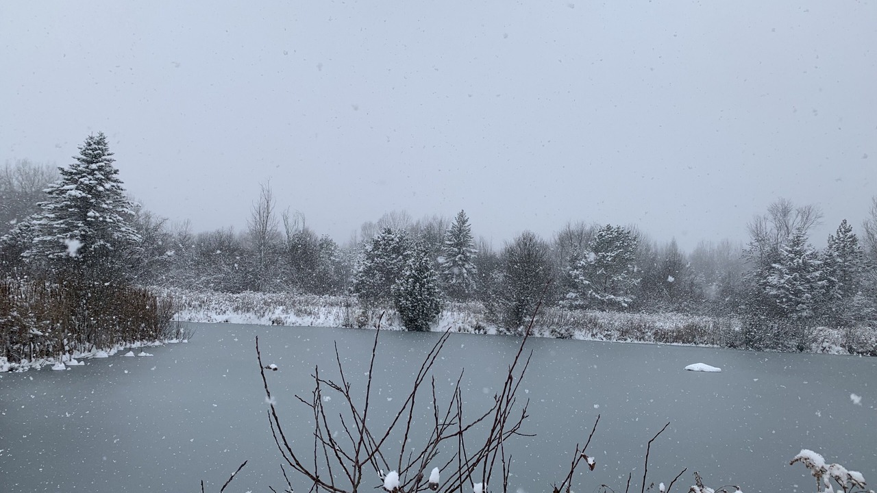Photo of Others in Oro-Medonte