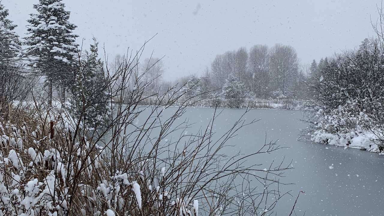 Photo of Outdoor in Oro-Medonte