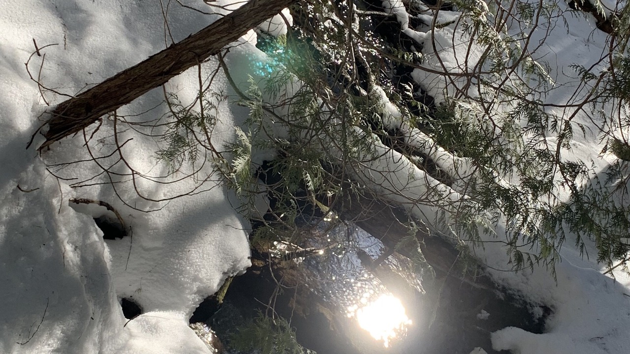 Photo of Outdoor in Oro-Medonte