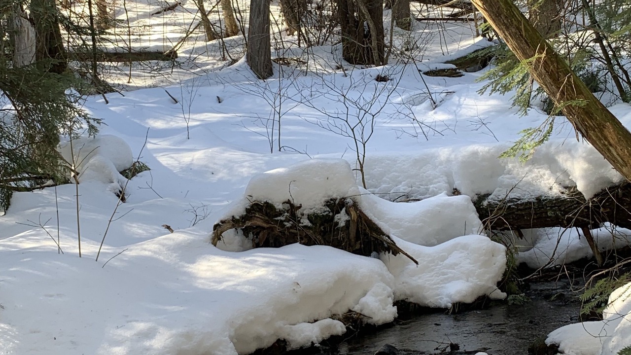Photo of Others in Oro-Medonte
