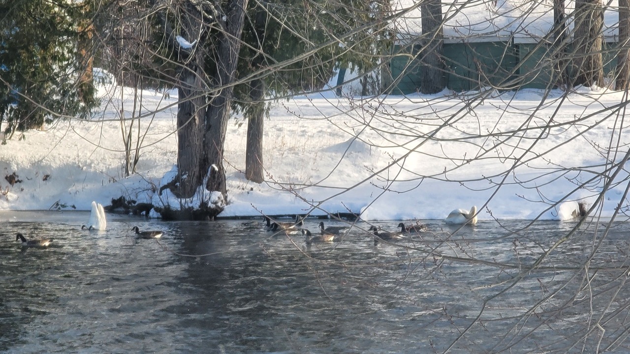 Photo of Others in Port Stanton