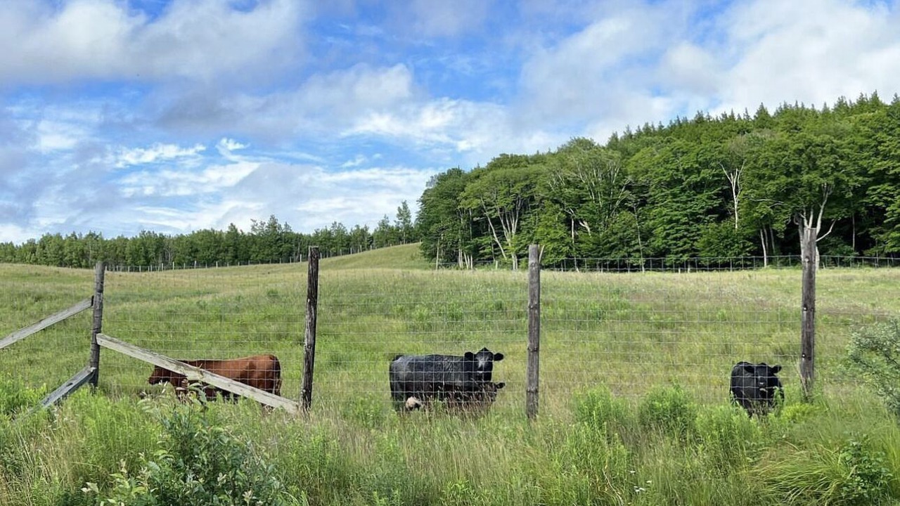 Photo of Others in Balmoral Mills