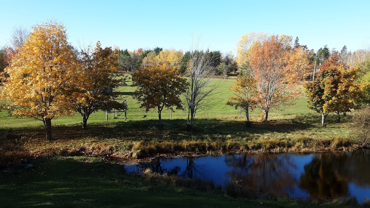Photo of Outdoor in Pictou