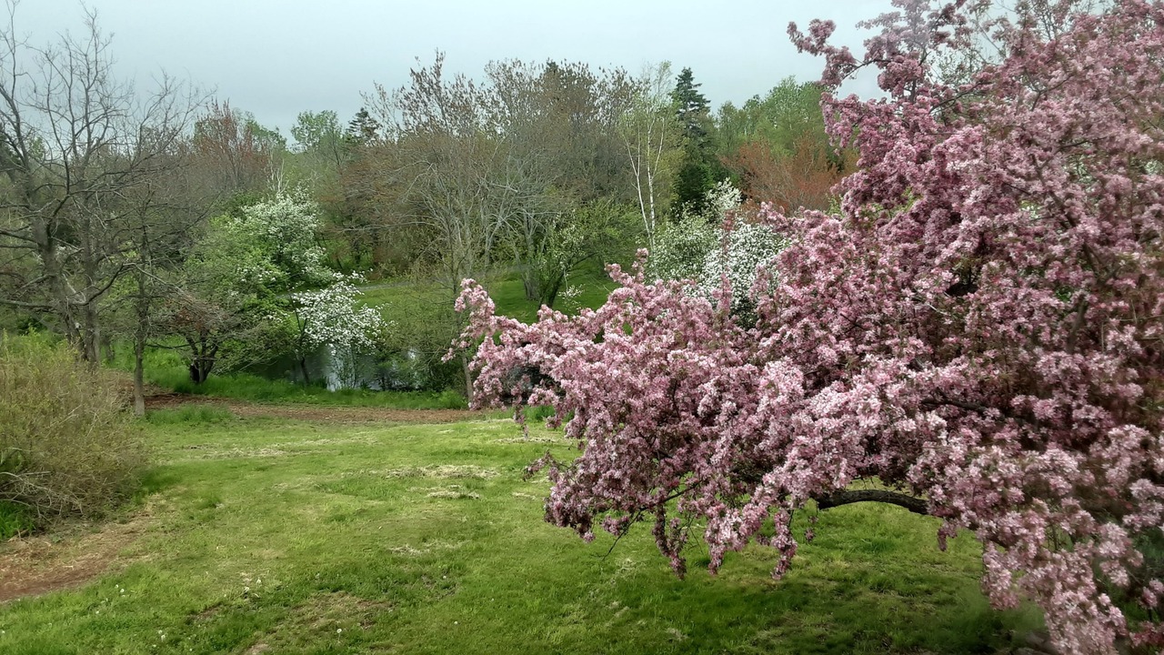Photo of Outdoor in Pictou