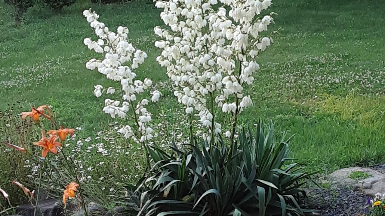 Photo of Outdoor in Pictou