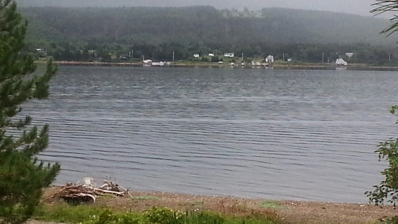 Photo of Others in Jersey Cove