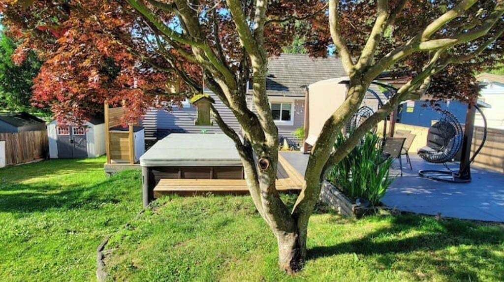 Photo of Patio Balcony in Mission