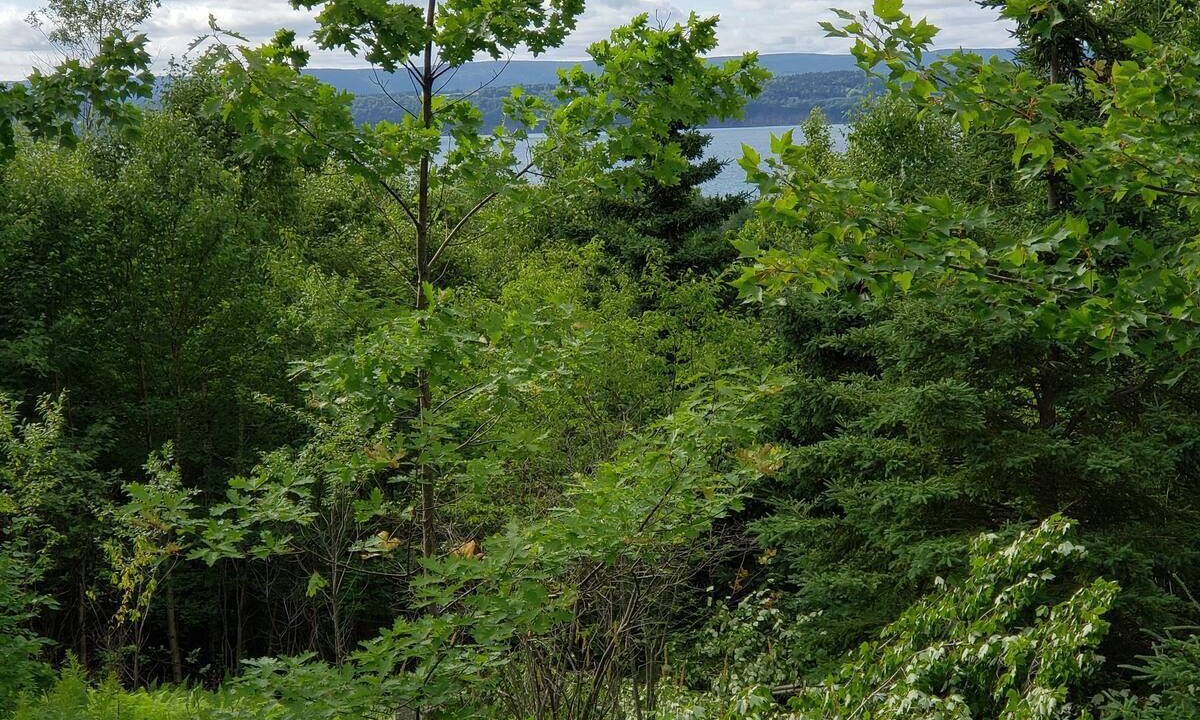 Photo of Others in Cape Breton Regional Municipality