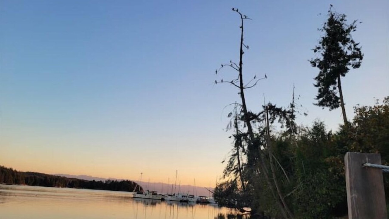 Photo of Others in Sooke