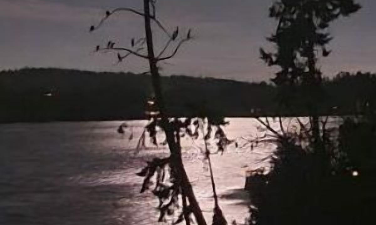Photo of Others in Sooke
