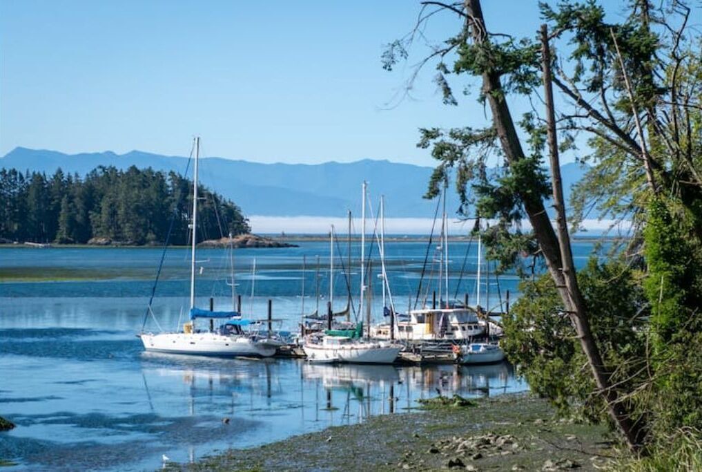 Photo of Others in Sooke