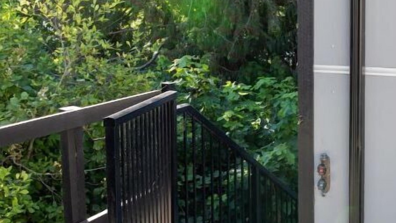 Photo of Others in Sooke