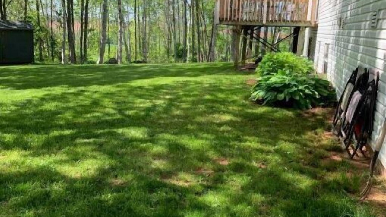 Photo of Outdoor in Kensington