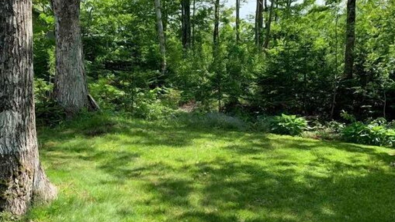 Photo of Outdoor in Kensington