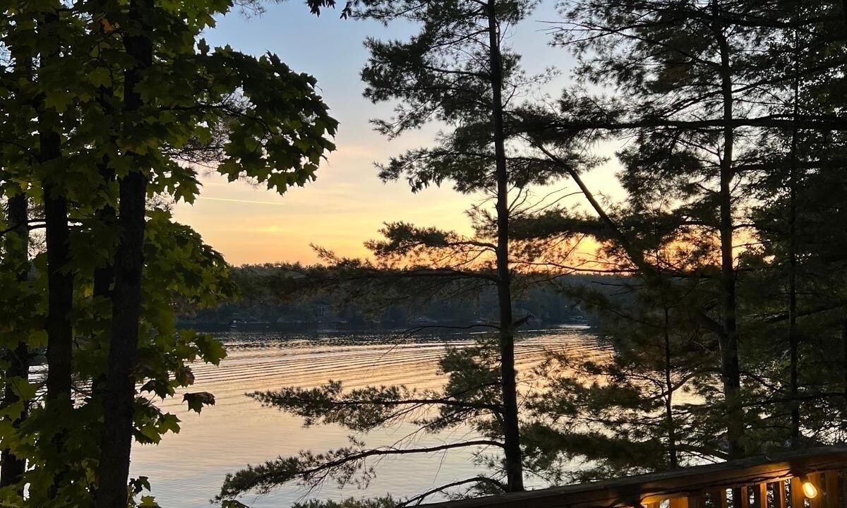 Photo of Outdoor in Severn