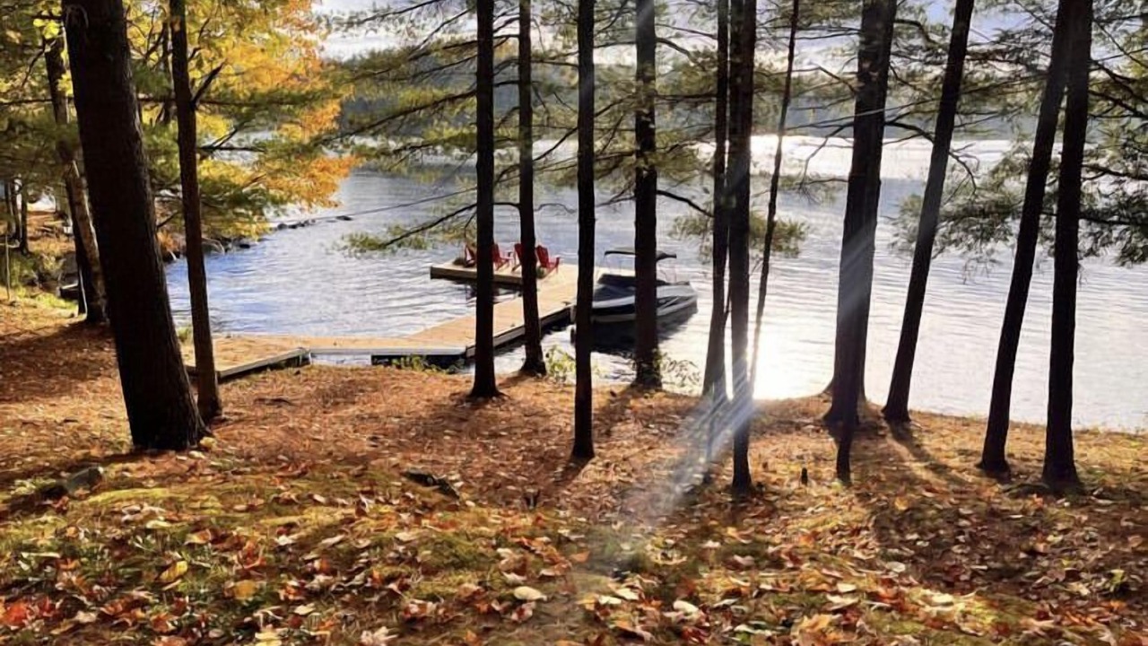Photo of Outdoor in Severn