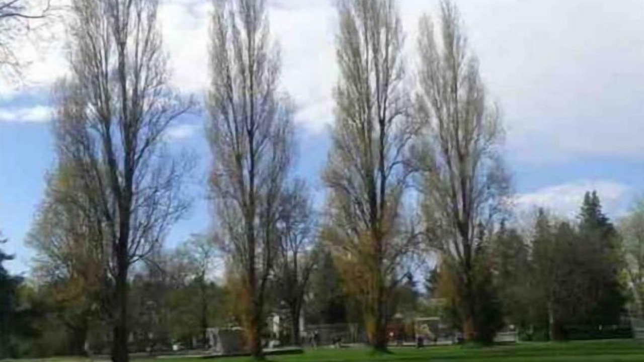 Photo of Outdoor in West Point Grey
