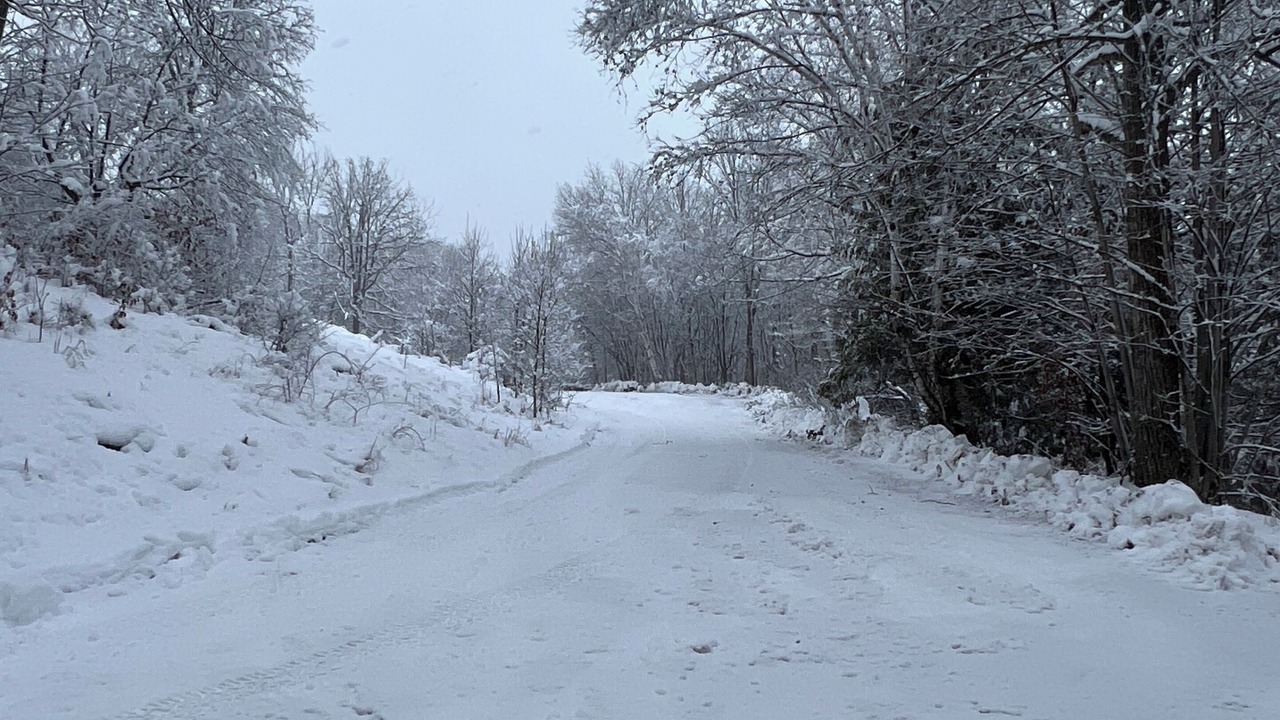 Photo of Others in Tay Valley