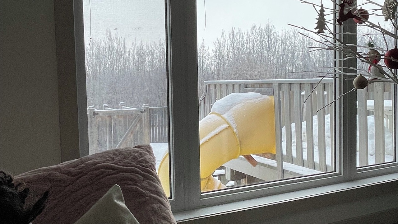 Photo of Others in Sylvan Lake