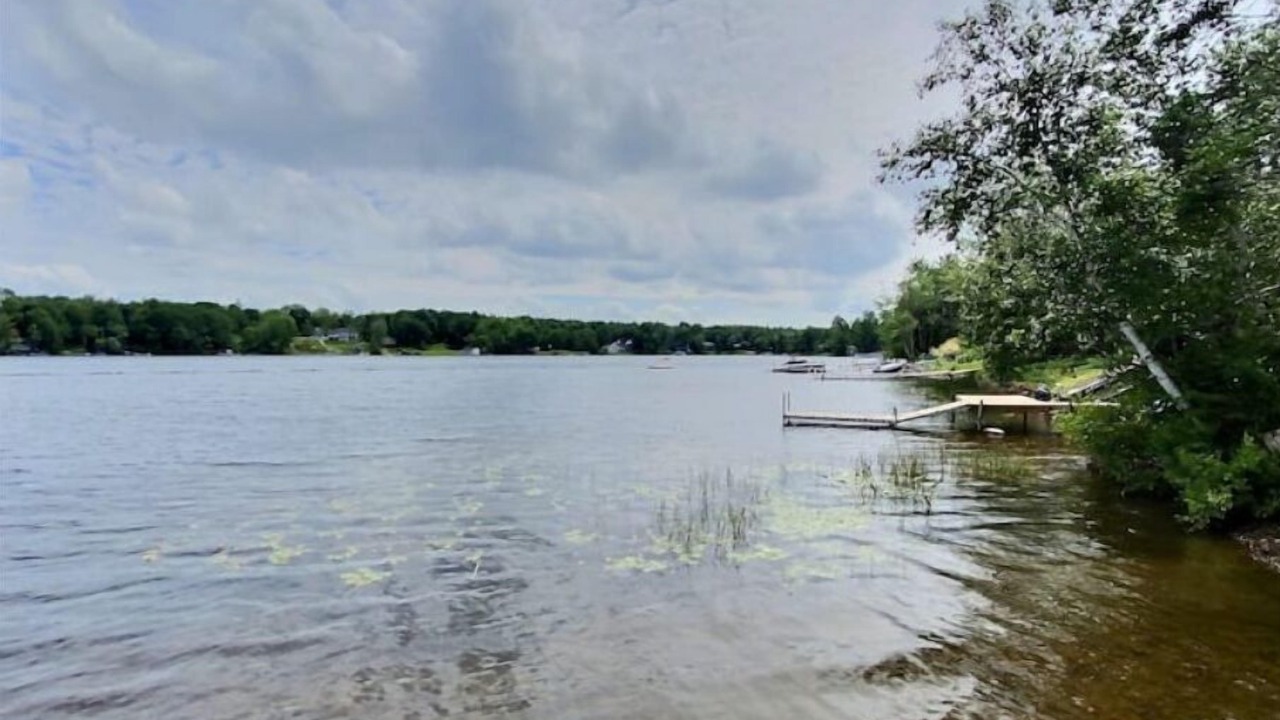Photo of Others in Shortts Lake
