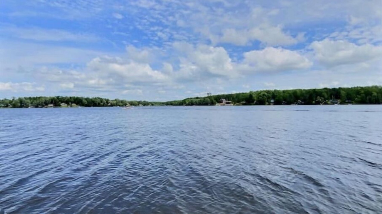 Photo of Others in Shortts Lake