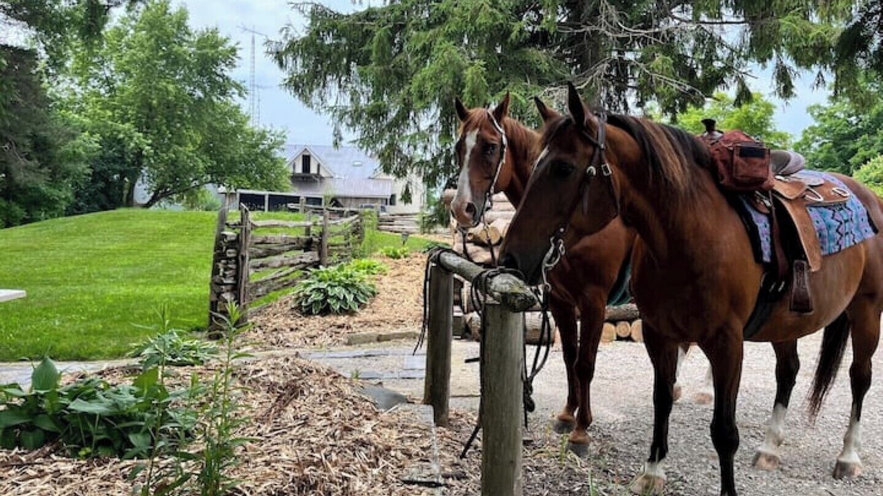 Photo of Outdoor in Wellington North