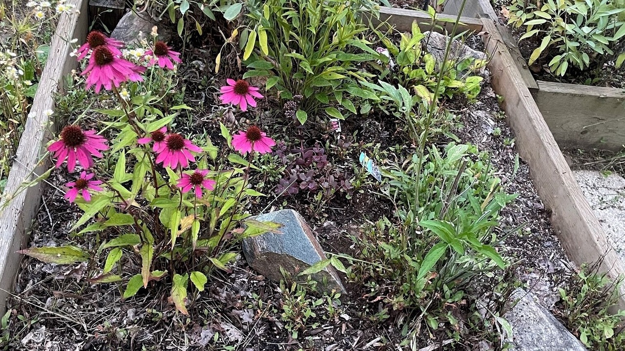 Photo of Outdoor in Havelock-Belmont-Methuen