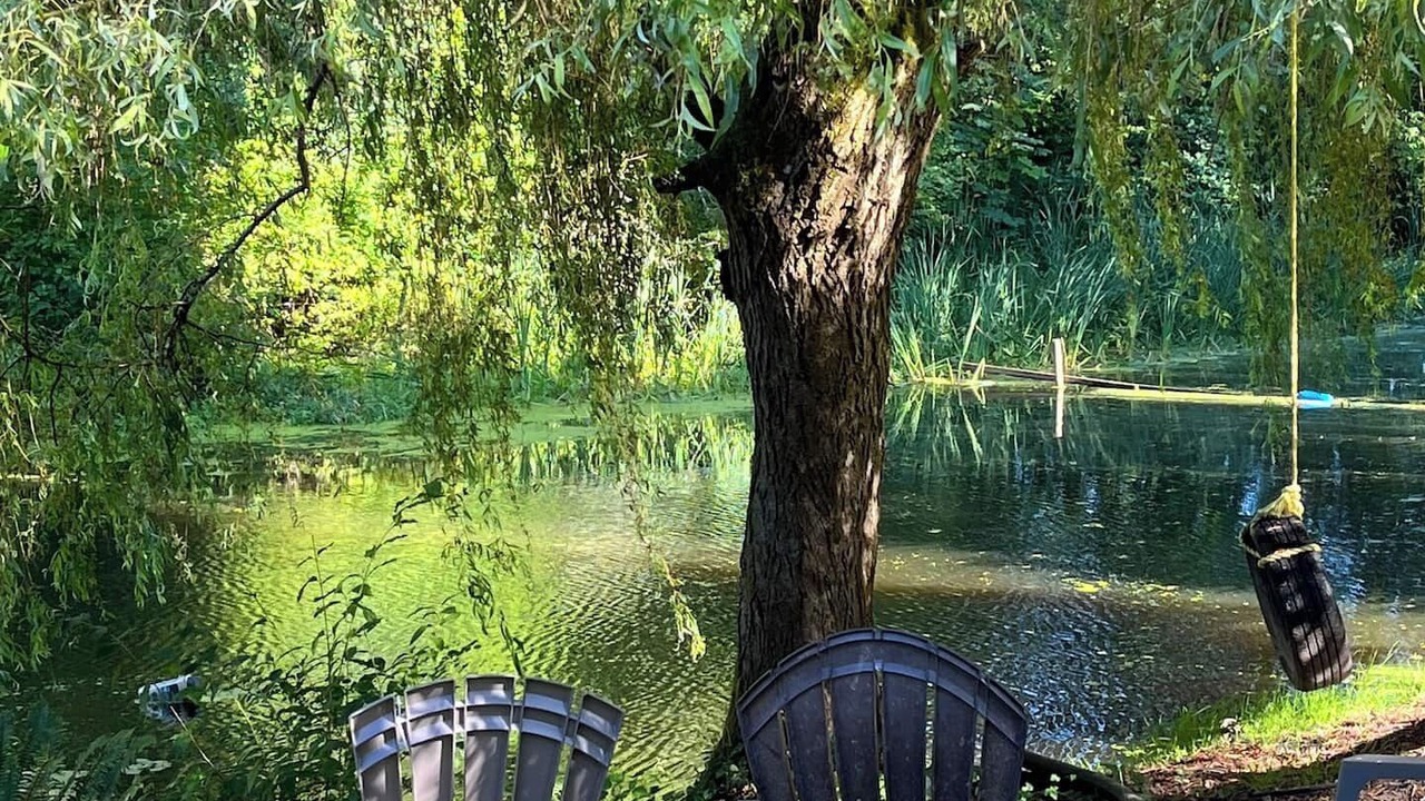 Photo of Outdoor in North Saanich