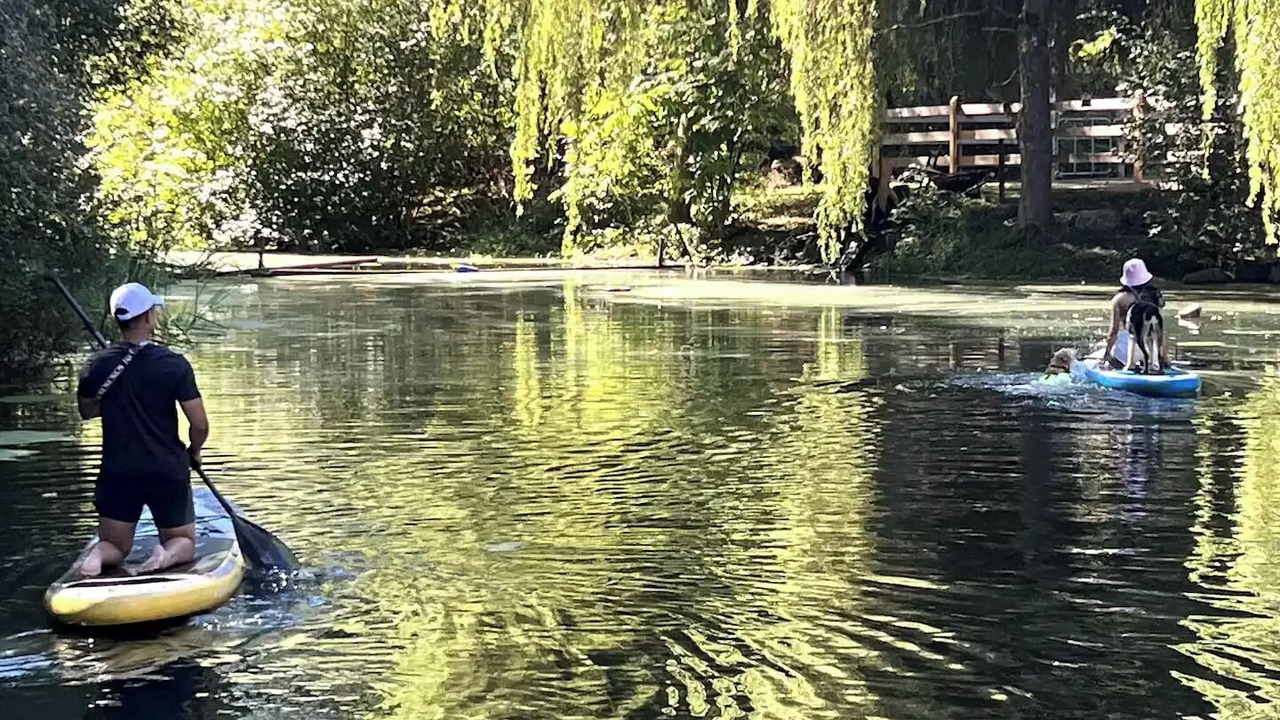 Photo of Outdoor in North Saanich