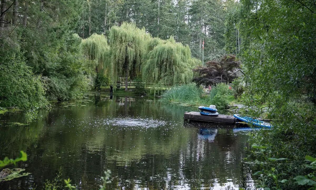 Photo of Others in North Saanich