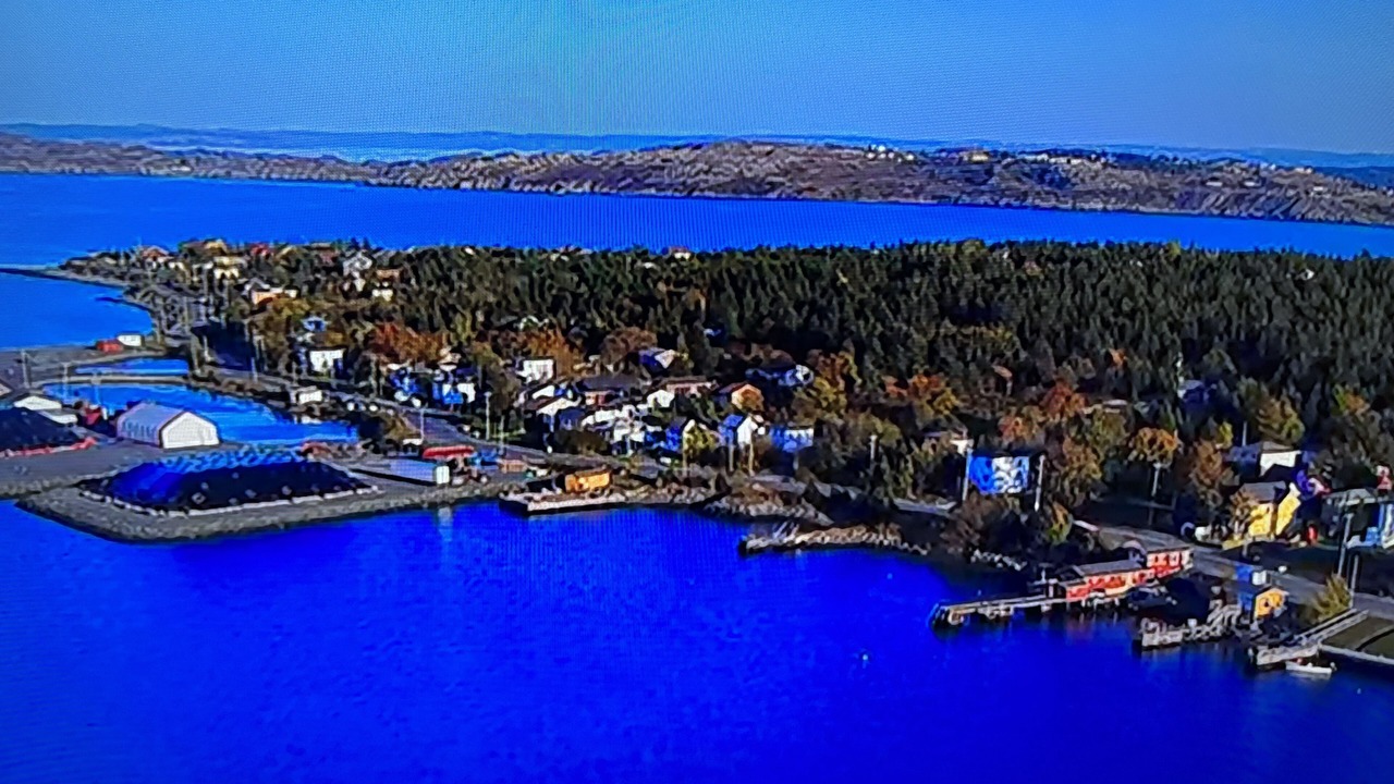 Photo of Outdoor in Bay Roberts