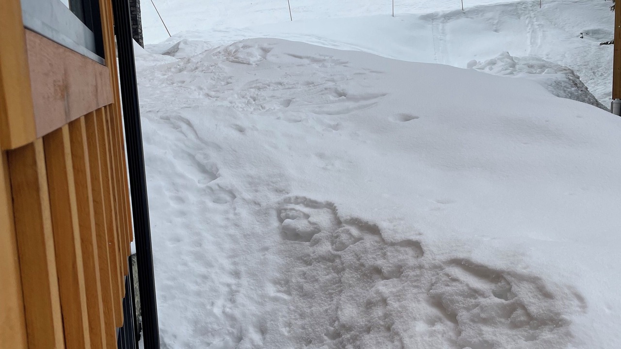 Photo of Others in Rossland