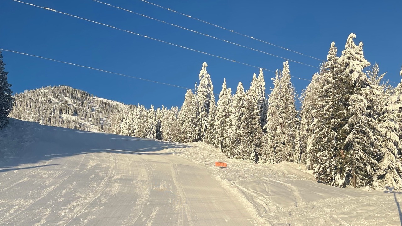 Photo of Others in Rossland