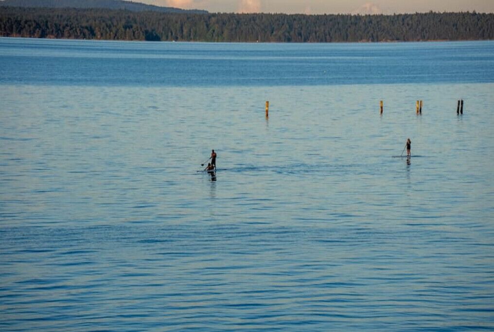Photo of Others in Chemainus