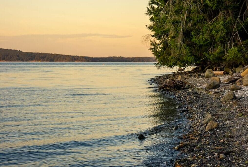 Photo of Outdoor in Chemainus