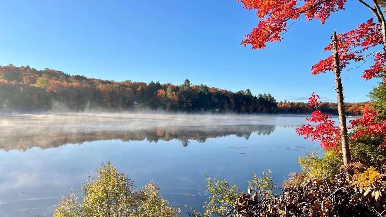 Photo of Others in Bracebridge
