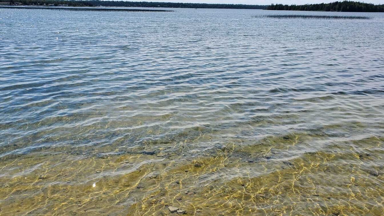 Photo of Others in Stokes Bay