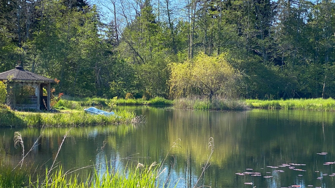 Photo of Outdoor in Denman Island