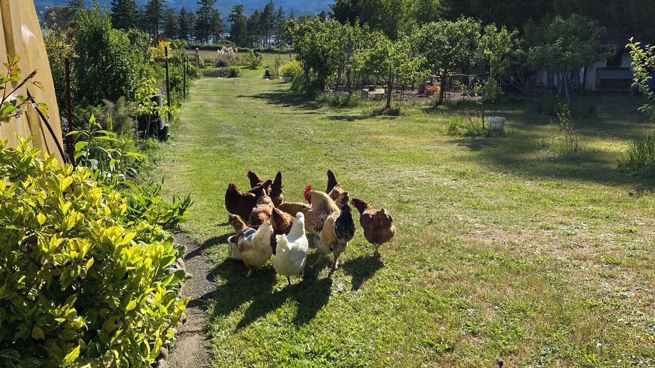 Photo of Others in Denman Island