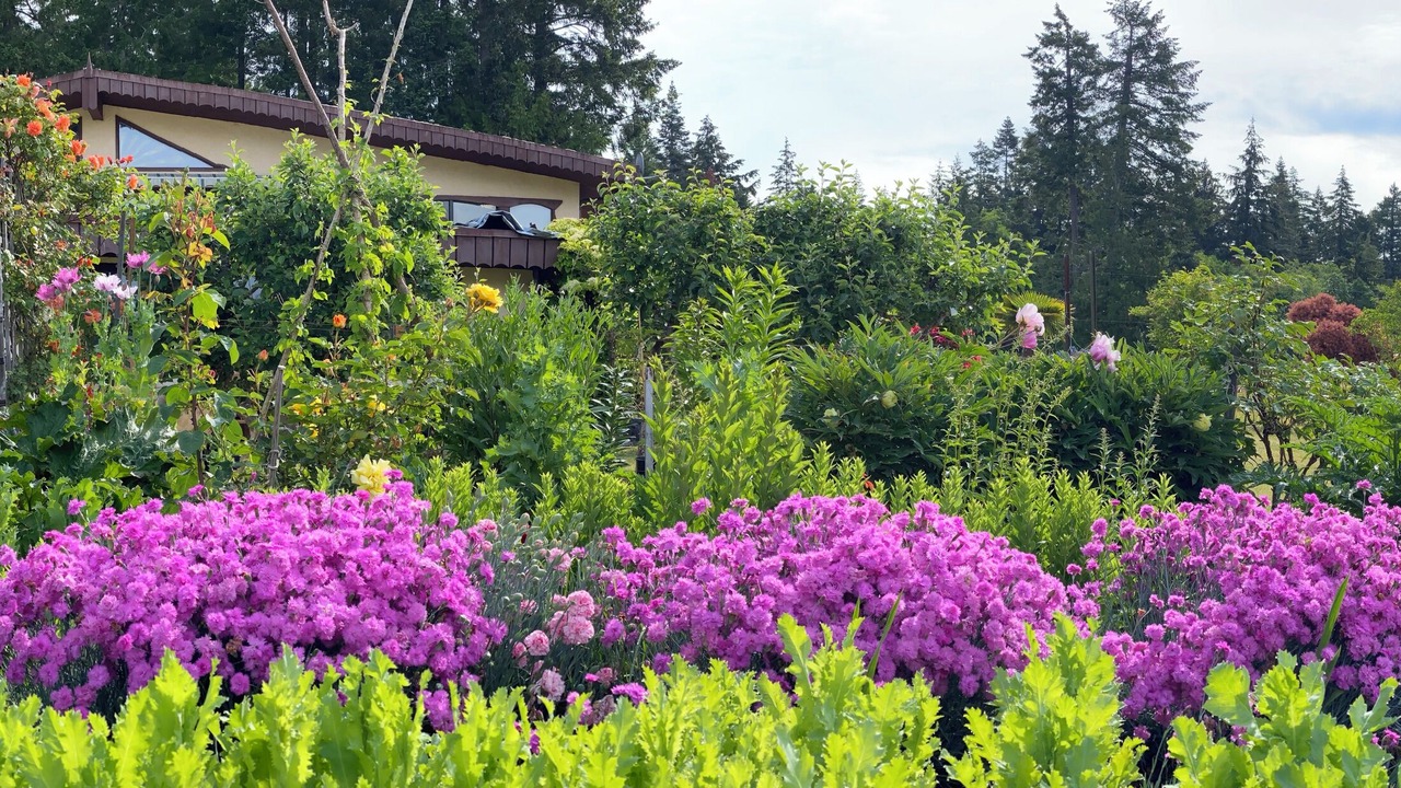 Photo of Outdoor in Denman Island