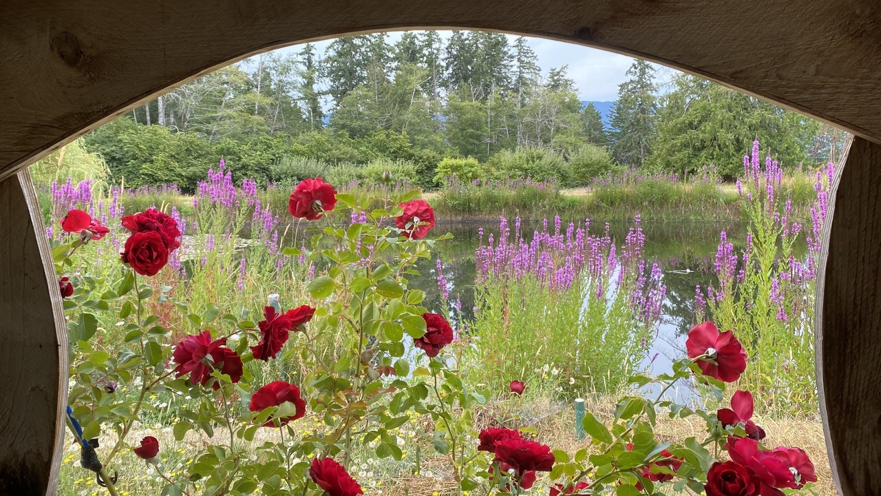 Photo of Outdoor in Denman Island