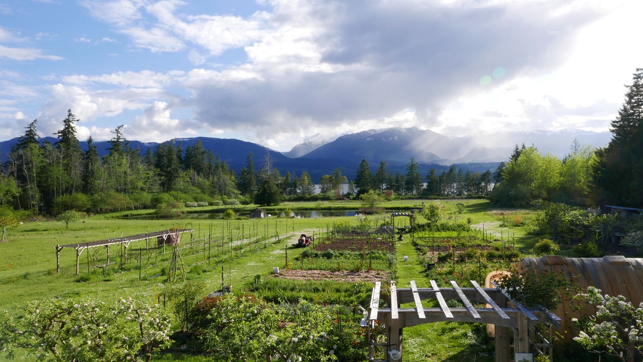 Photo of Outdoor in Denman Island