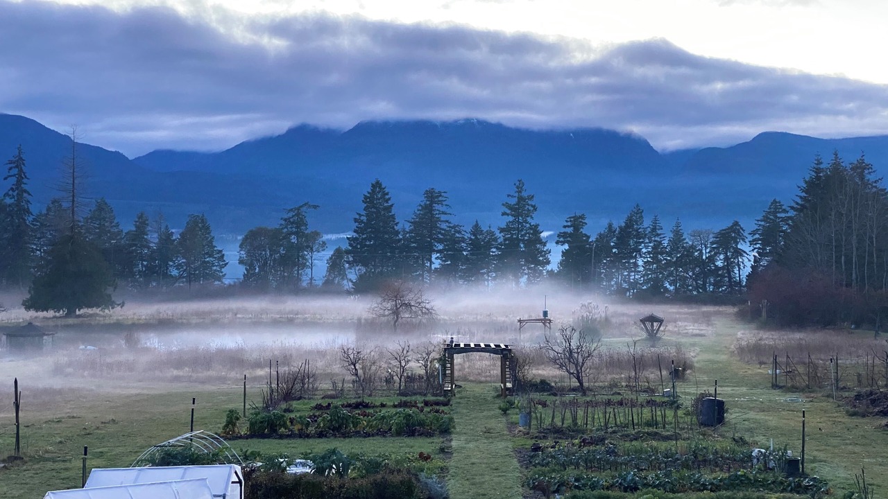 Photo of Others in Denman Island