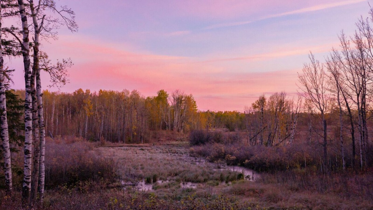 Photo of Others in Central Alberta
