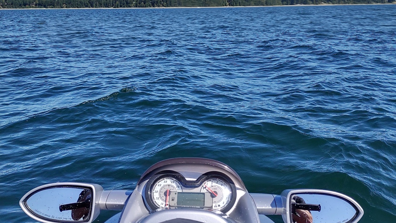 Photo of Others in Union Bay