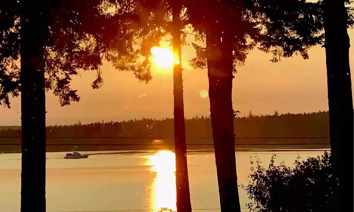 Photo of Outdoor in Union Bay