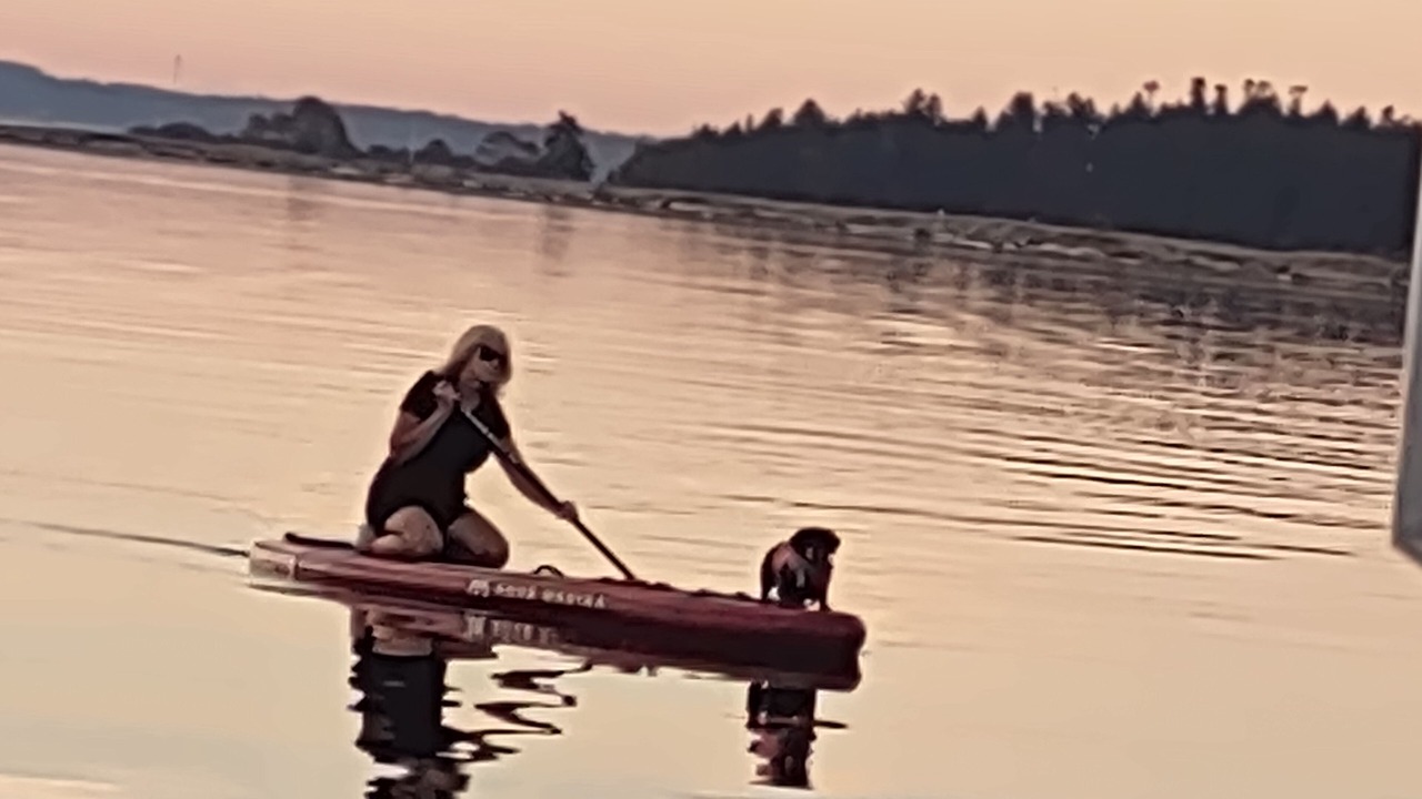 Photo of Others in Union Bay