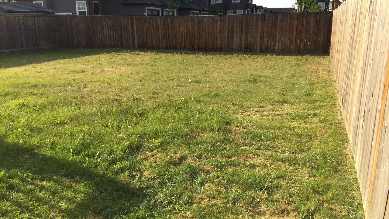 Photo of Outdoor in Saskatoon