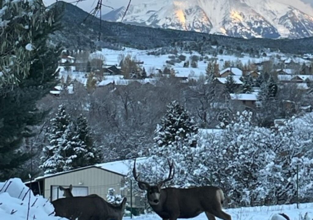 Photo of Others in Glenwood Springs